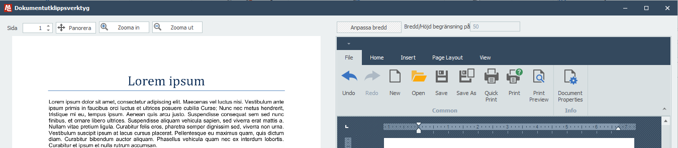 20_DocumentSnippingTool_Full_SE