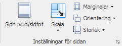 preview_pagesetup_group_SWE