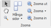 preview_zoom_group_SWE